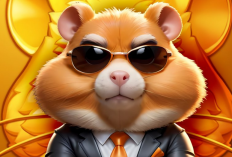  UPDATE! Hamster Kombat Daily Cipher and Combos Today 6 July 2024, New Hamster Kombat Chiper Morse Code